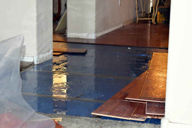 Professional Emergency Water Damage Restoration technician working in Valley View, PA